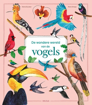 Afbeeldingen van De wondere wereld van de vogels