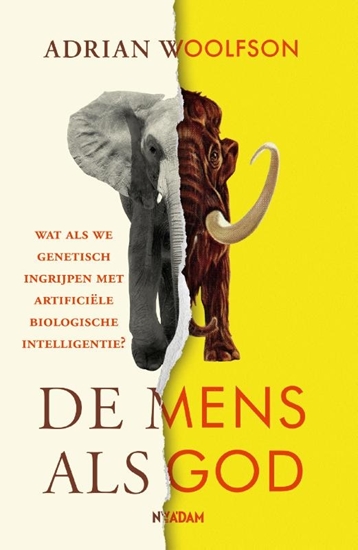 Afbeelding van De mens als God