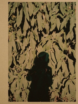 Afbeeldingen van DRWNG. PHTGRPH. RCHV. Anouk Griffioen