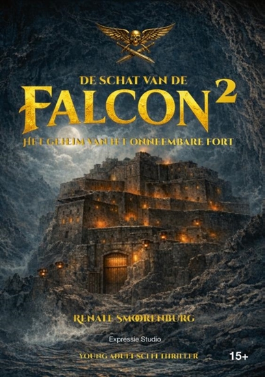 Afbeelding van De schat van de Falcon 2