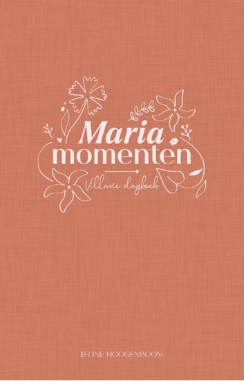 Afbeelding van Mariamomenten