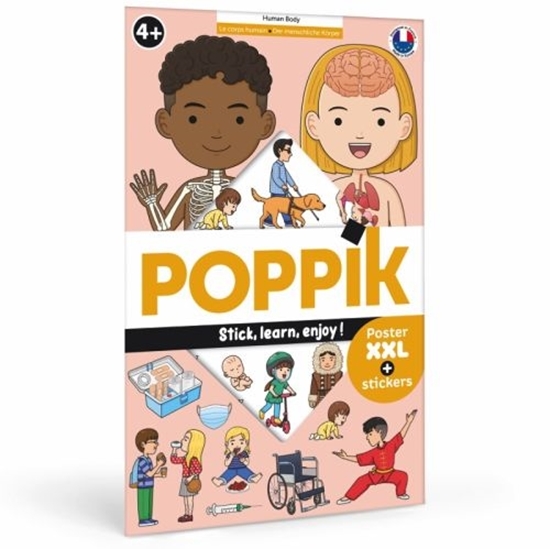 Afbeelding van Menselijk lichaam - 48 herbruikbare stickers