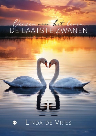 Afbeelding van De laatste zwanen