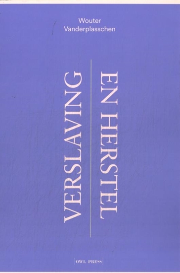 Afbeelding van Verslaving en herstel