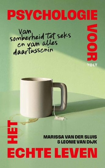 Afbeelding van Psychologie voor het echte leven