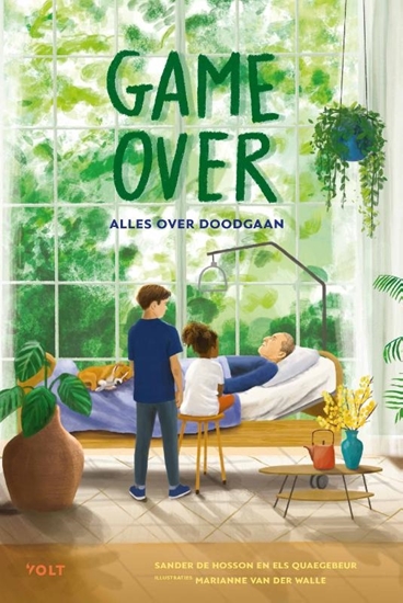 Afbeelding van Game over
