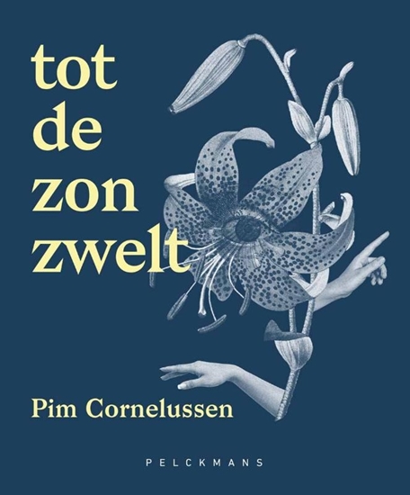 Afbeelding van Tot de zon zwelt