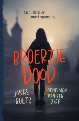 Afbeeldingen van Geheimen van een dief: Broertje dood