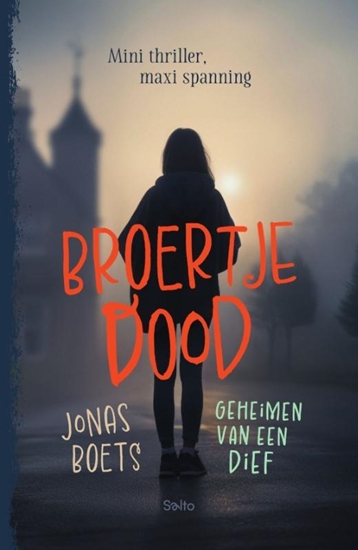 Afbeelding van Geheimen van een dief: Broertje dood