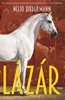 Afbeelding van Lázár