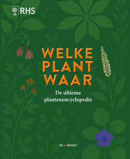 Afbeelding van Welke plant waar