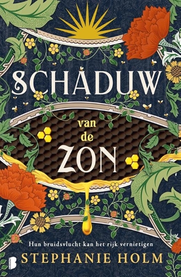 Afbeelding van Schaduw van de Zon