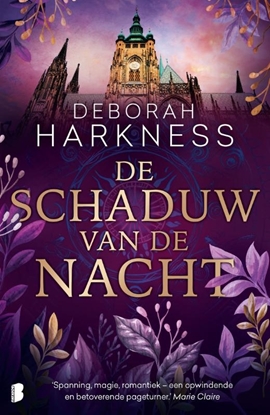 Afbeeldingen van Allerzielen De schaduw van de nacht