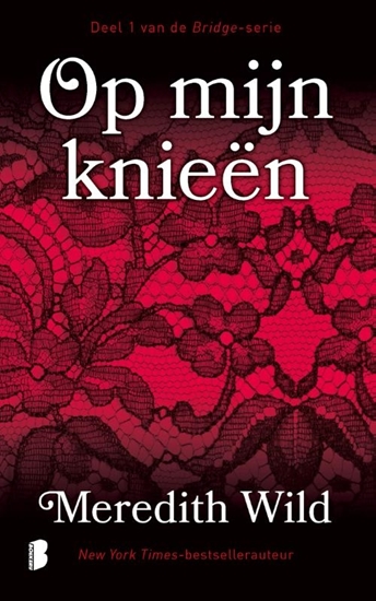 Afbeelding van Op mijn knieën