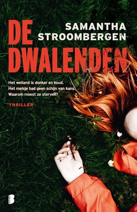 Afbeeldingen van De dwalenden