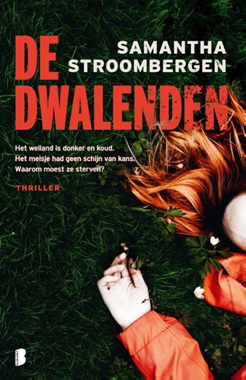 Afbeelding van De dwalenden