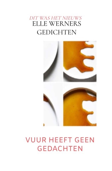 Afbeelding van VUUR HEEFT GEEN GEDACHTEN