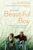 Afbeelding van Beautiful Boy