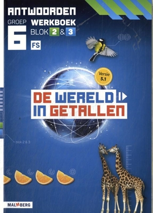 Afbeeldingen van De wereld in getallen 5.1 FS groep 6 blok 2 & 3 antwoordenboek