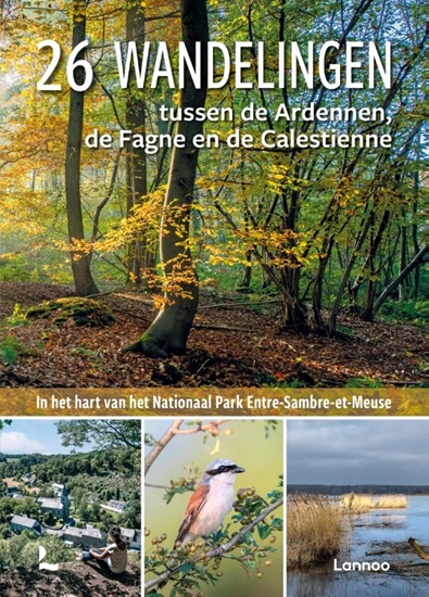 Afbeelding van 26 wandelingen tussen de Ardennen, de Fagne en de Calestienne