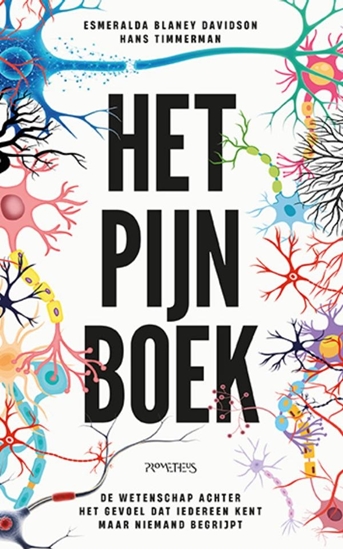 Afbeelding van Het Pijn Boek