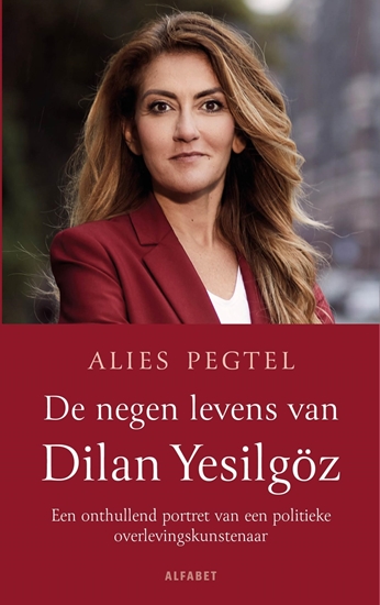 Afbeelding van De negen levens van Dilan Yesilgöz