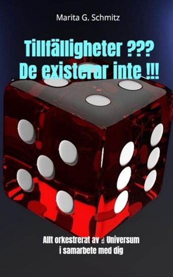 Afbeelding van Tillfälligheter ??? De existerar inte !!!