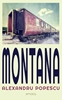 Afbeelding van Montana