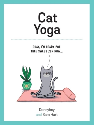 Afbeeldingen van Summersdale Cat Yoga