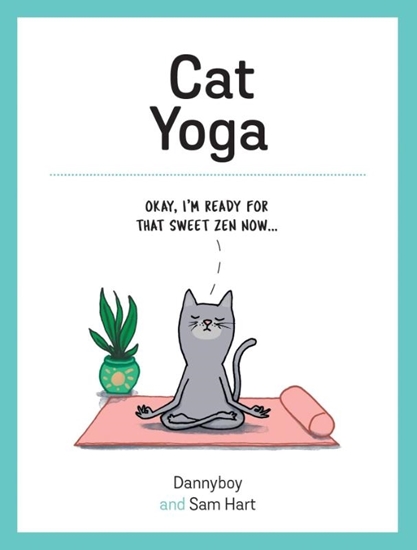 Afbeelding van Summersdale Cat Yoga