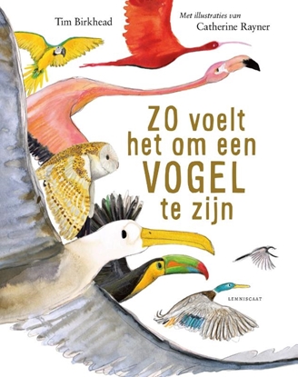 Afbeeldingen van Zo voelt het om een vogel te zijn