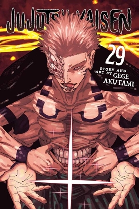 Afbeeldingen van Jujutsu Kaisen Jujutsu Kaisen, Vol. 29