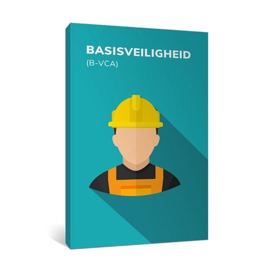Afbeelding van Basisveiligheid (B-VCA)