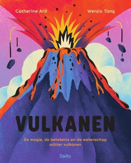 Afbeelding van Vulkanen