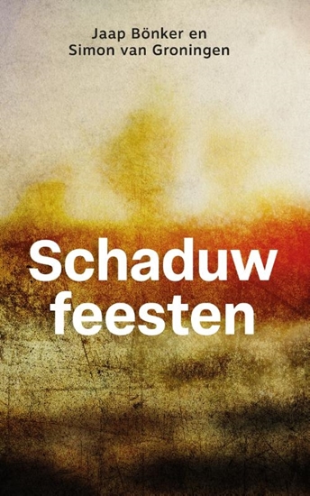 Afbeelding van Schaduwfeesten