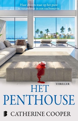 Afbeeldingen van Het penthouse