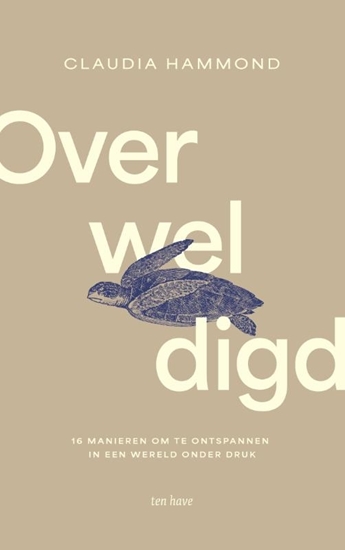 Afbeelding van Overweldigd