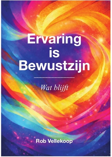 Afbeelding van Reis naar Helderheid Ervaring is bewustzijn