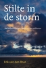 Afbeelding van Stilte in de storm