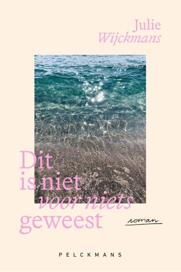 Afbeelding van Dit is niet voor niets geweest