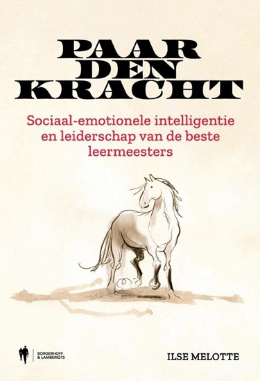 Afbeelding van Paardenkracht