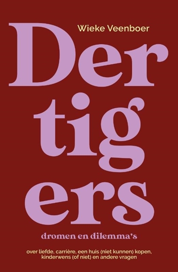 Afbeelding van Dertigers, dromen en dilemma's