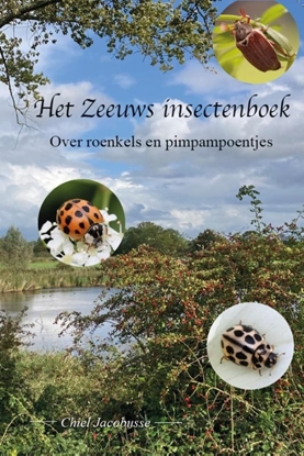 Afbeeldingen van Het Zeeuws insectenboek