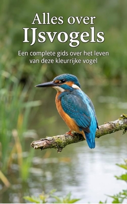 Afbeeldingen van Alles over IJsvogels