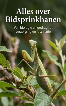 Afbeeldingen van Alles over Bidsprinkhanen