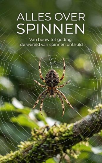 Afbeelding van Alles over Spinnen