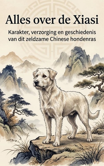 Afbeelding van Alles over de Xiasi