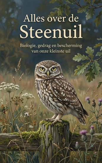 Afbeelding van Alles over de Steenuil