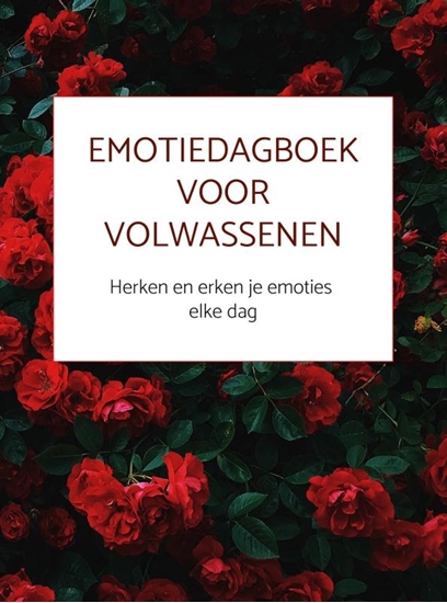 Afbeelding van Emotiedagboek voor volwassenen