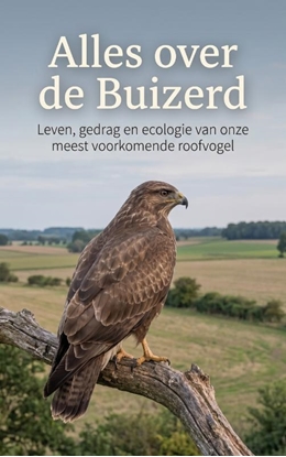 Afbeeldingen van Alles over de Buizerd